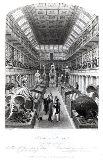 The Hunterian Museum, illustration till 
