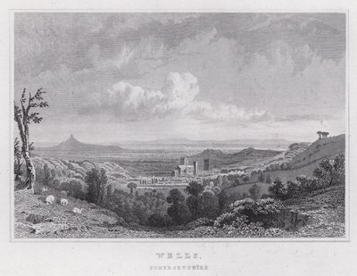 Wells, Somersetshire (gravyr) av Thomas Hosmer Shepherd