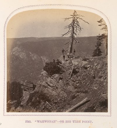 "Wahwonah" - eller Big Tree Point av Thomas Houseworth