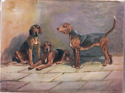 Hundar, illustration från "Hounds" av Thomas Ivester Lloyd