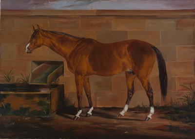 Porträtt av Lexington, ca. 1857. av Thomas J. Scott