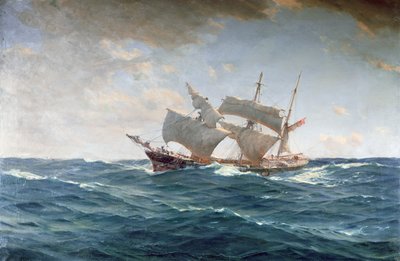 Den lama ankan (olja på duk) av Thomas J. Somerscales