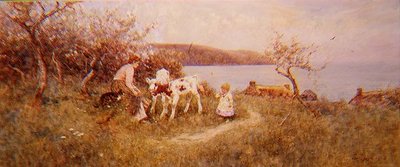 Mata kalvarna av Thomas James Lloyd