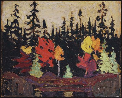 Svart gran och lönn, 1915 (olja på träpanel) av Tom Thomson