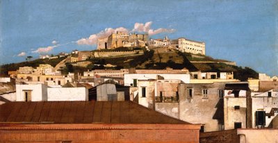En vy över Certosa di San Martino med Castel Sant