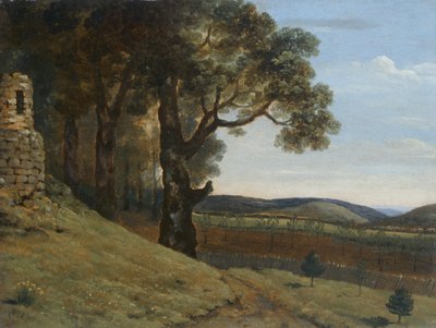 Fält nära Pencerrig av Thomas Jones
