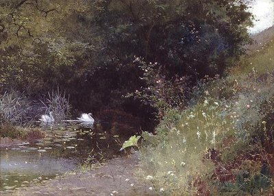 Svanar på en sjö av Thomas Mackay