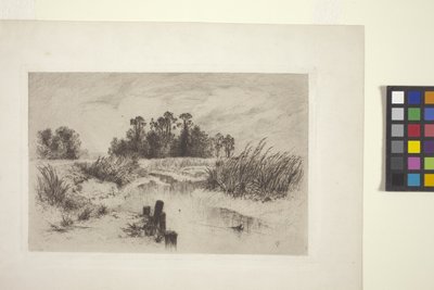 Marshy Landscape With Stream (etsning på papper) av Thomas Moran
