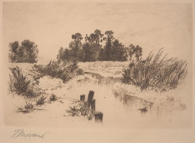 Passaic Meadows (i Newark Meadows) av Thomas Moran