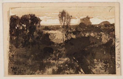 Grand Canyon av Thomas Moran