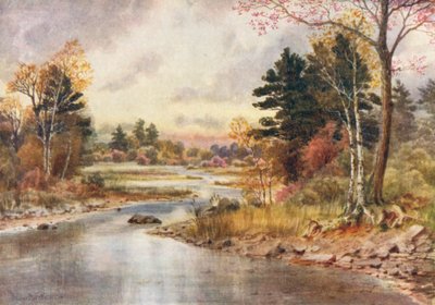  av Thomas Mower Martin