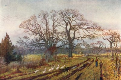  av Thomas Mower Martin