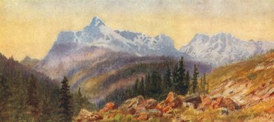  av Thomas Mower Martin