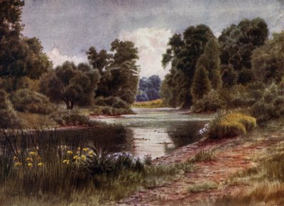 Kew Gardens: The Lake, Looking South (färg litho) av Thomas Mower Martin