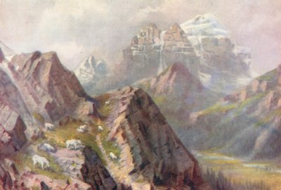  av Thomas Mower Martin