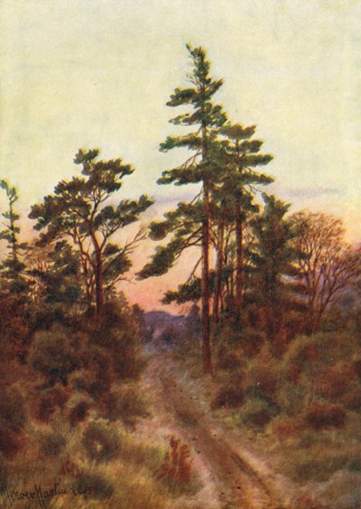 Väg nära Victoria, kväll (färglitografi) av Thomas Mower Martin