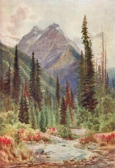  av Thomas Mower Martin