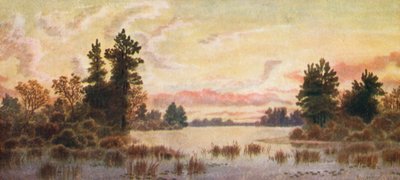  av Thomas Mower Martin