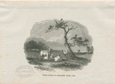 Chartley Hall - Park: träsnittsgravyr av Thomas Peploe Wood