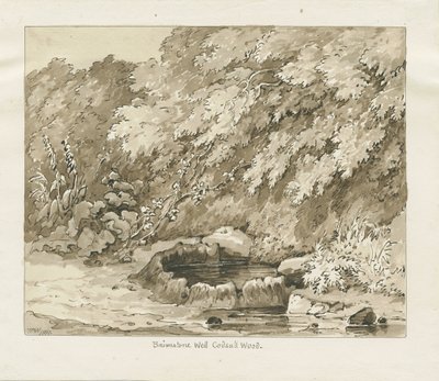 Codsall Wood - Brimstone Well: sepiateckning av Thomas Peploe Wood