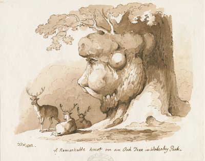 Wolseley Park - Knut på en ek: penna och sepia-teckning av Thomas Peploe Wood