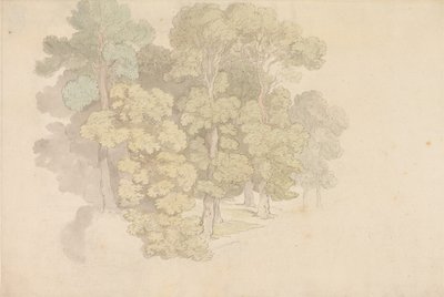 En grupp träd av Thomas Rowlandson