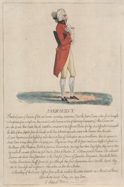 Ett nytt insekt av Thomas Rowlandson