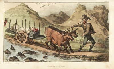 Fänrik Johnny Newcome, sjuk av dysenteri, förd med oxkärra till Salamanca, Spanien. Handfärgad kopparstick tecknad och etsad av Thomas Rowlandson från överste David Roberts The Military Adventures of Johnny Newcome, Martin, London av Thomas Rowlandson