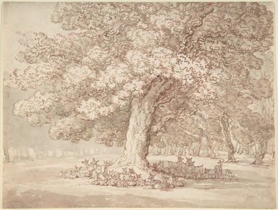 En hjord med hjortar under en ek av Thomas Rowlandson