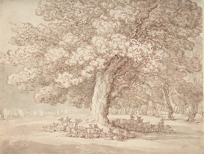Flock rådjur under en ek, 1775-1827. av Thomas Rowlandson