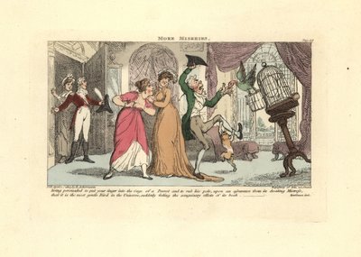 Man blir attackerad av en papegoja och katt i en salong. av Thomas Rowlandson