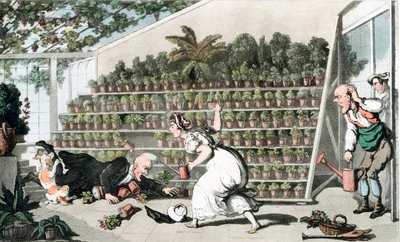 Olycka i tulpanhallen, c1816 av Thomas Rowlandson