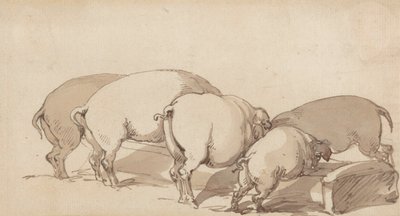 Pigs at a Trough, ca 1790 (grafit med penna och bläck och brun tvätt på papper) av Thomas Rowlandson
