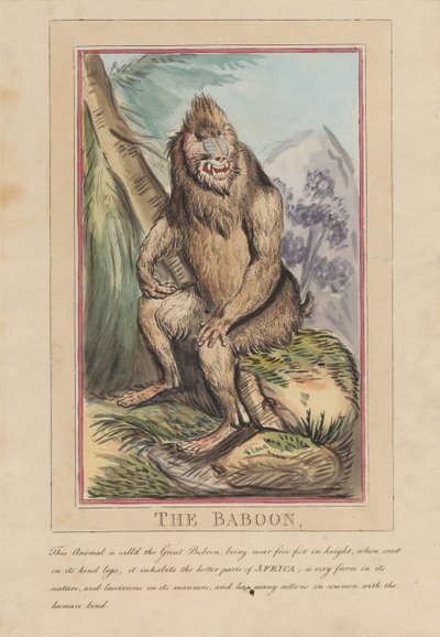 Ett set om åtta med titelsida. ”Utländska och inhemska djur.” 2. Lejonet av Thomas Rowlandson