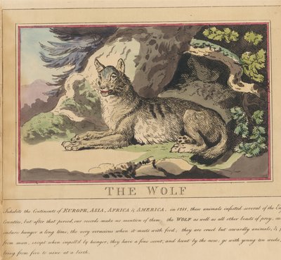 Ett set om åtta med titelsida. ”Utländska och inhemska djur.” 5. Vargen av Thomas Rowlandson