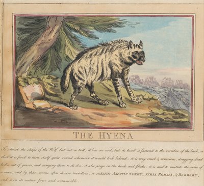 Ett set om åtta med titelsida. ”Utländska och inhemska djur.” 6. Hyenan av Thomas Rowlandson