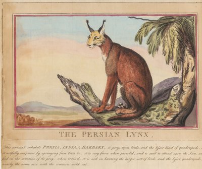 Ett set om åtta med titelsida. ”Utländska och inhemska djur.”  7.  Den persiska lodjuren av Thomas Rowlandson