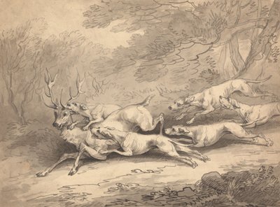 Hjort nedlagd av en hundflock av Thomas Rowlandson