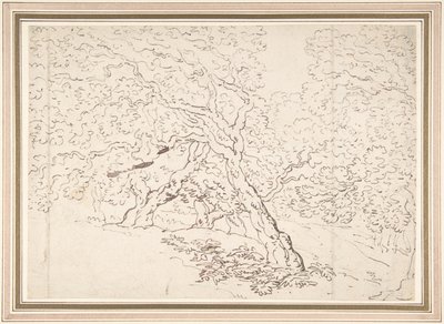 Studie av träd av Thomas Rowlandson