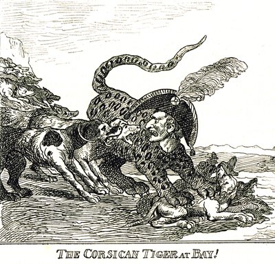Den barkade korsikanska tigern (Napoleon Bonaparte), karikatyr 1808 av Thomas Rowlandson