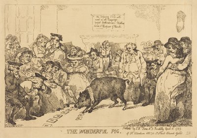 Den underbara grisen av Thomas Rowlandson