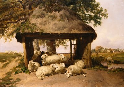 Får vilar under ett skydd av Thomas Sidney Cooper