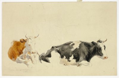 Två liggande kor (recto); Skiss av stående ko (verso) av Thomas Sidney Cooper