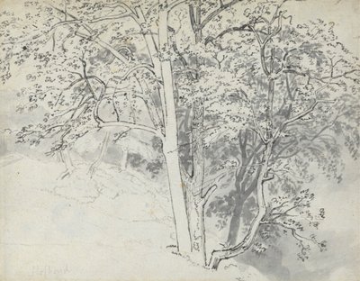 Studie av träd av Thomas Stothard