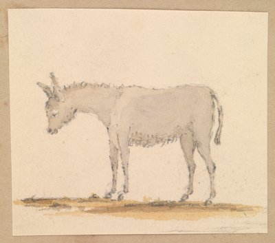 Studie av en åsna, ca 1820 (penna och bläck, lavering, akvarell) av Thomas Streatfeild