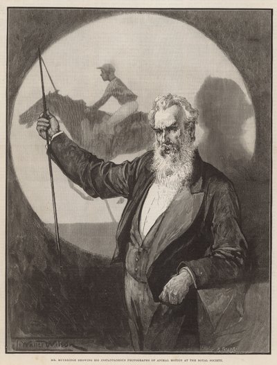 Mr Muybridge visar sina ögonblickliga fotografier av djurrörelser på Royal Society av Thomas Walter Wilson