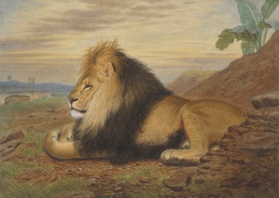 Ett lejon av Thomas William Wood
