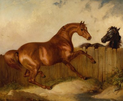 Hingst och sto (olja på duk) av Thomas Woodward