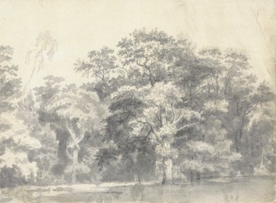Träd på en flodstrand av Thomas Wyck