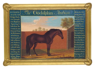 The Godolphin Arabian (olja på duk) av Thomas of Pall Mall Butler